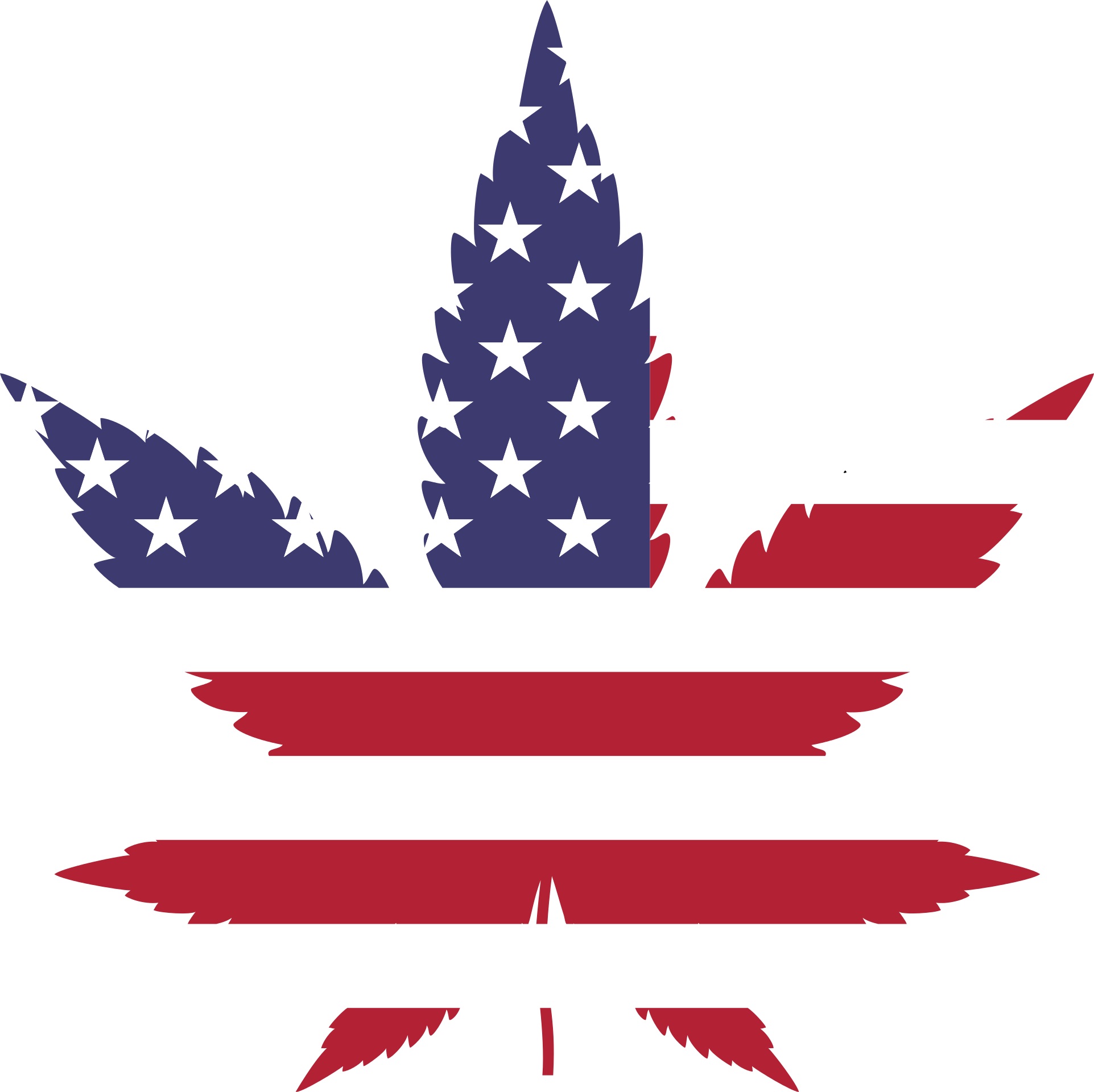 Marijuana leaf/American flag graphic.