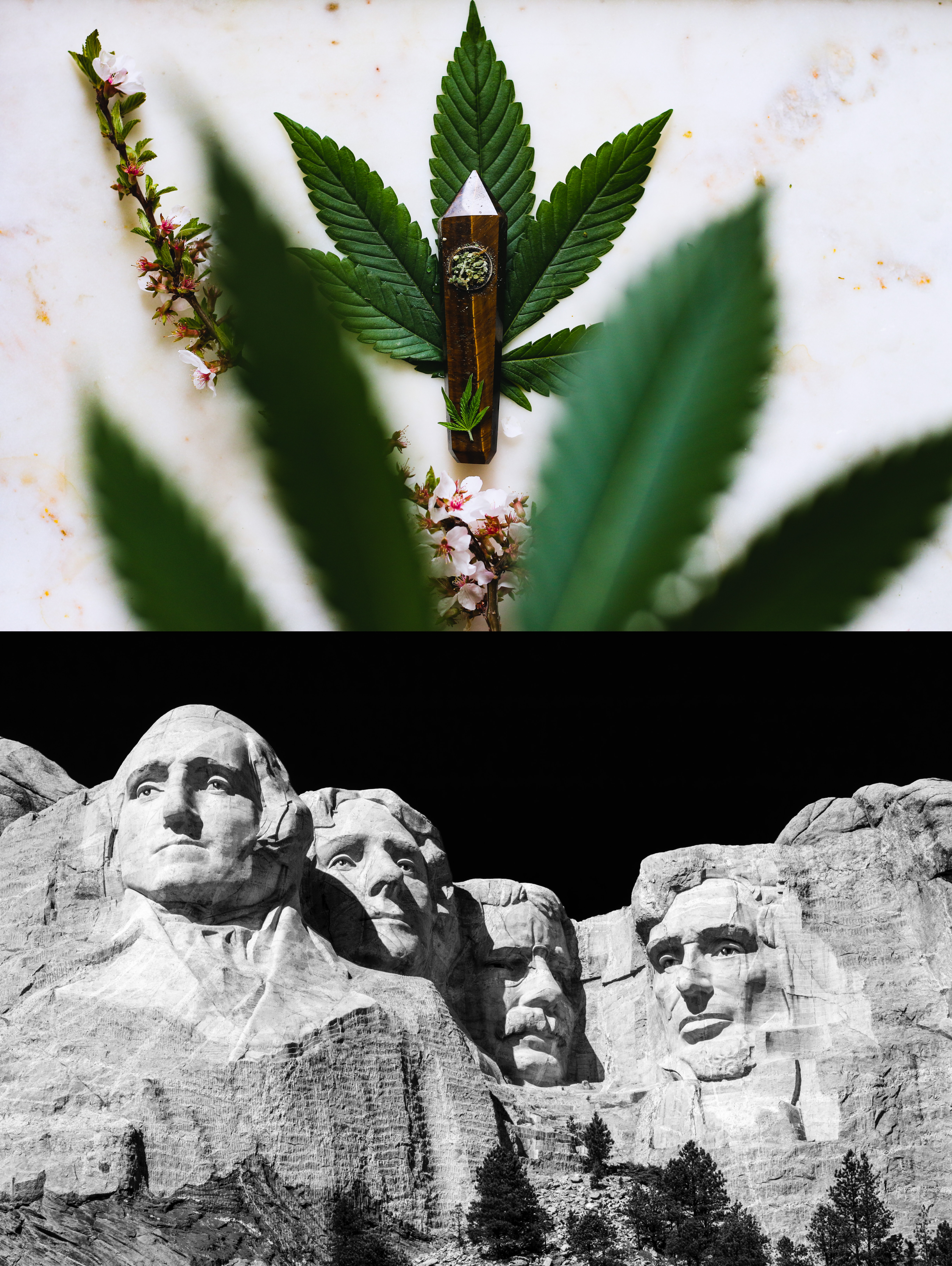(Top) Marijuana leaf and pipe. (Bottom) Mt. Rushmore, South Dakota.