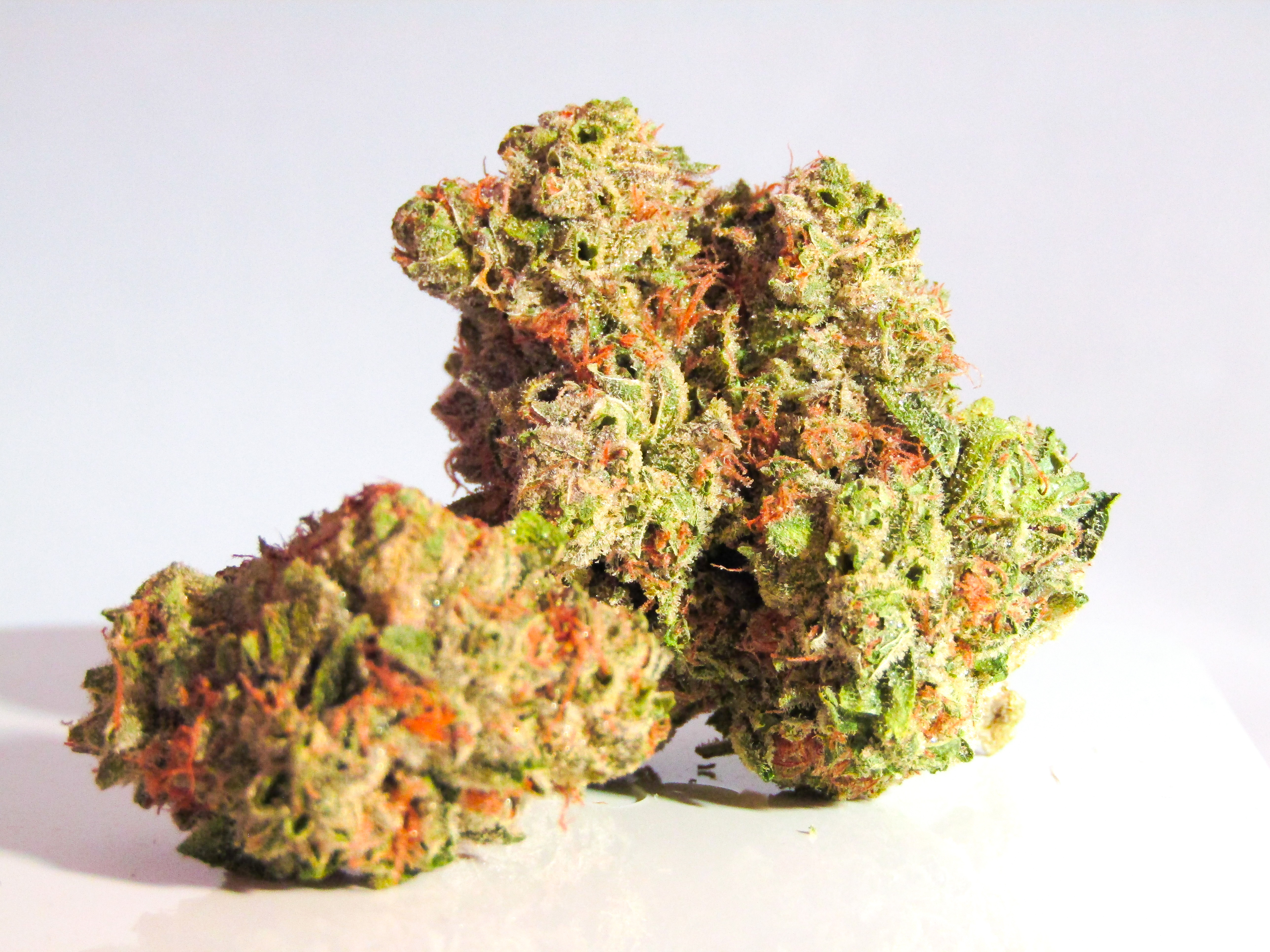 Marijuana flower bud.