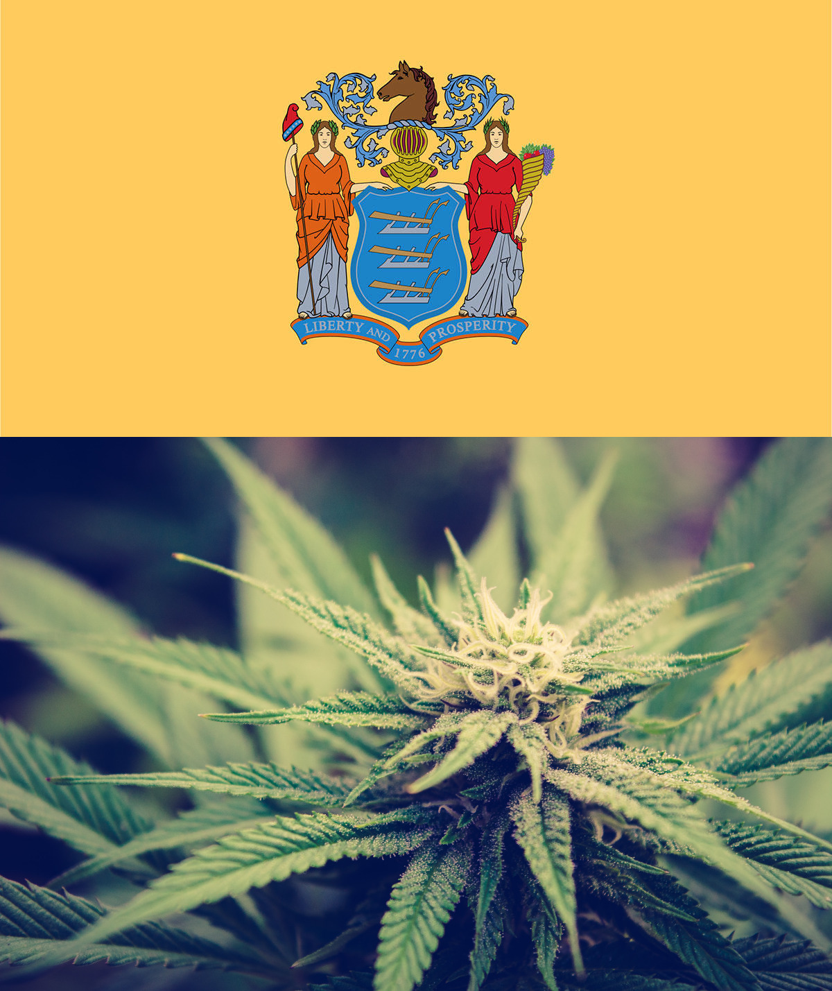 (Top) New Jersey state coat of arms. (Bottom) Marijuana plant.